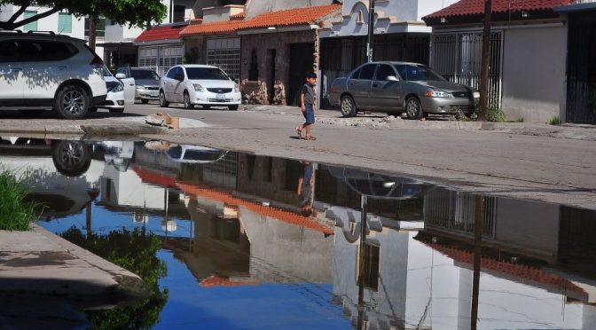 Sinaloa: Denuncian 20 años de fugas de aguas negras en Fovissste 2 (Debate)