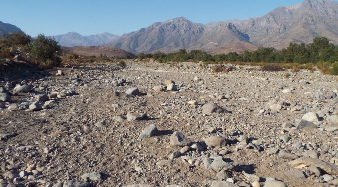 Chile: Cuando la sequía y el saqueo se cruzan: la crisis del agua en el país es catastrófica (Sputnik)