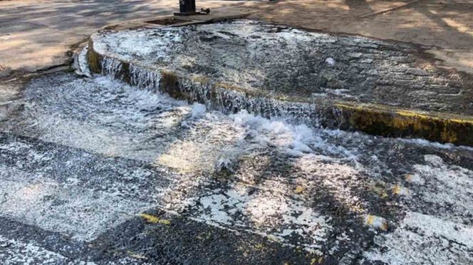 CDMX: Se desperdicia agua potable por mega fuga en Fuentes Brotantes (Excelsior)