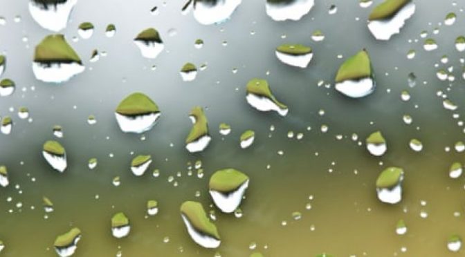EE.UU: El agua de lluvia en partes del país. Contiene altos niveles de químicos PFAS, según un estudio (México Ambiental)
