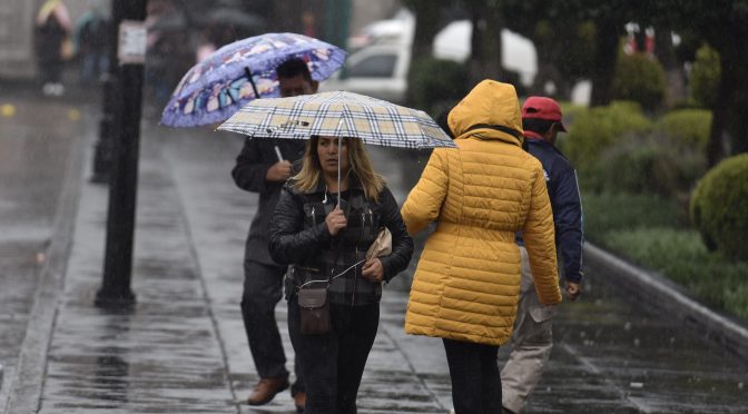 México: Nieve, lluvias y neblina: Tormenta invernal provocará baja de temperaturas (Animal Político)