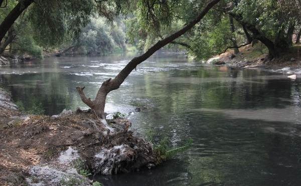 México: Desairan rescate de dos ríos (Heraldo de México)