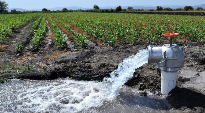 Sinaloa: Que no tiren el agua ahora que hay, piden a agricultores (Línea Directa)