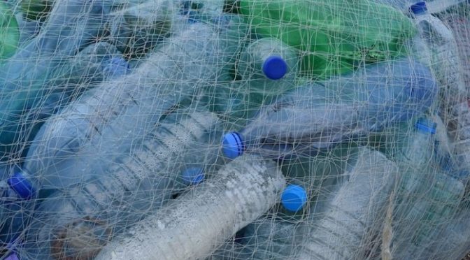México: Regularizar su uso, más que prohibir los plásticos (Diario Rotativo)