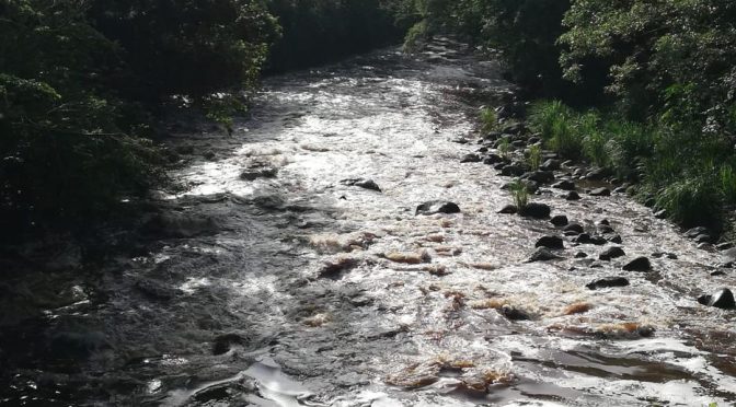 Veracruz: Inicia zafra y regresan los daños al río Blanco (Diario El Mundo)