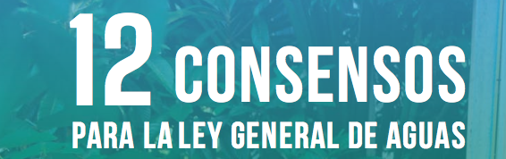 12 Consesos para la Ley General de Aguas (PDF)