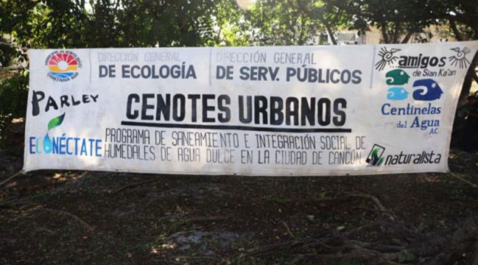 Quintana Roo: Reforzarán durante 2020 programa de saneamiento de cenotes en Cancún (Turquesa News)
