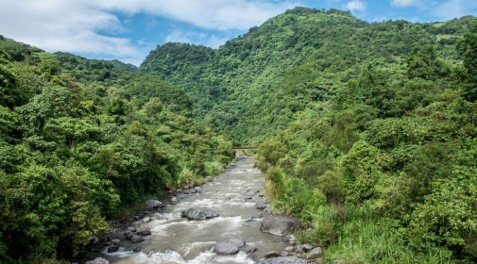 Puebla: Empresas poblanas tras megaproyectos hidroeléctricos, de las que más consumen agua en el país (Ladobe)