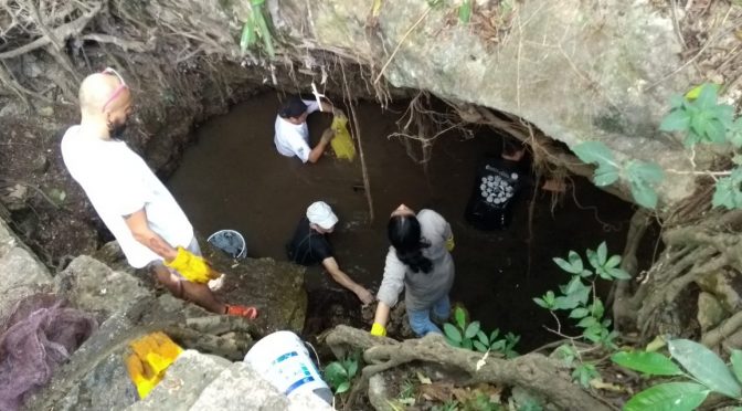 Yucatán: Ríos Subterráneos de Mérida contaminados por 300 mil fosas sépticas (Lector MX)