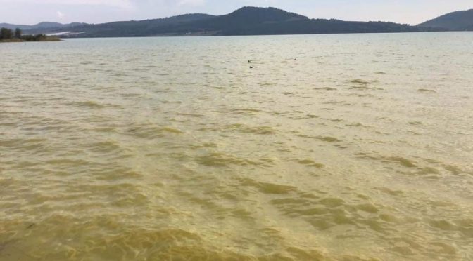 Michoacán: alerta Jesús Lucas sobre contingencia ecológica en lago de Zirahuén (Quadratín Michoacán)