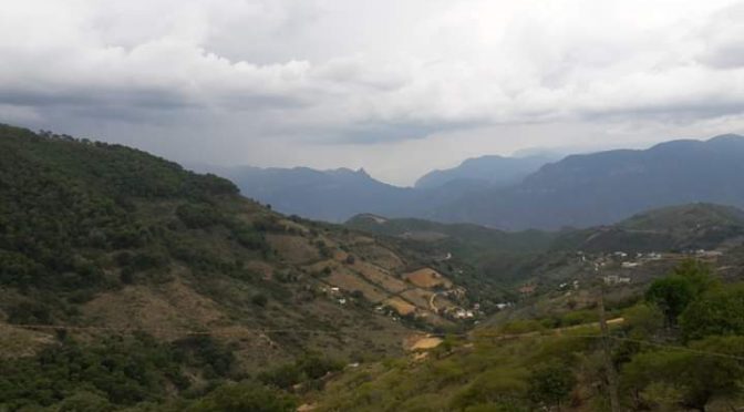 Querétaro: se seca manantial en San Joaquín, dos mil sin agua (Noticias de Querétaro)