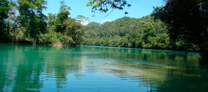 Chiapas: ¡La reserva de Montes Azules cumple 42 años!