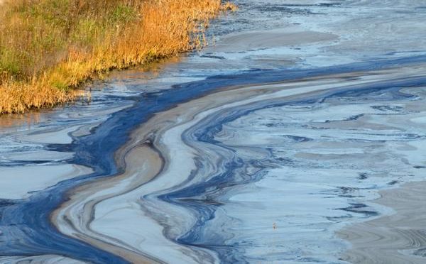 Mundo – Pequeña ciudad paga el precio de PFAS en el agua potable (Science Friday)