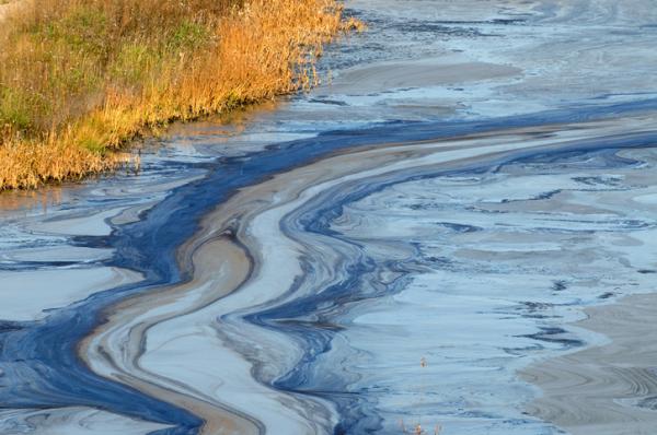 Evaluación y Control de Substancias Toxicas en Aguas Superficiales en la Cuenca del Río Panuco