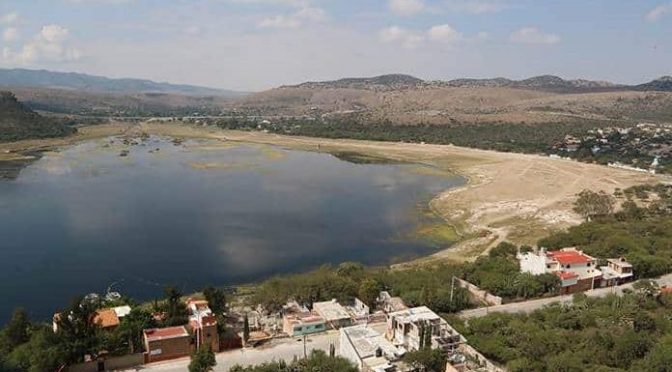 San Luis Potosí: se seca la presa Álvaro Obregón de Mexquitic (Pulso SLP)