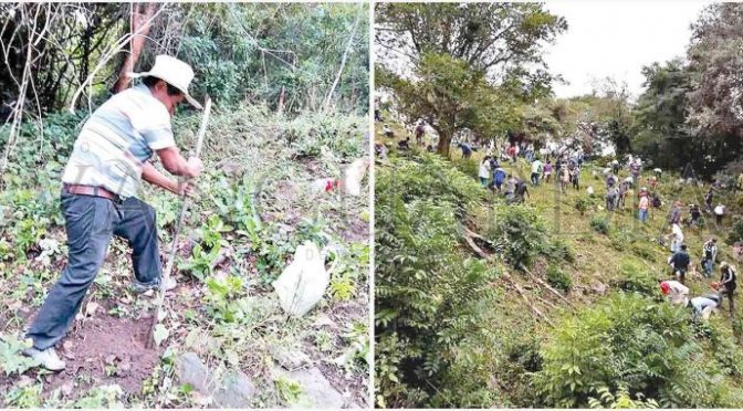 Veracruz: Campesinos de Tepetzintla reforestan para evitar se seque manantial (Vanguardia)