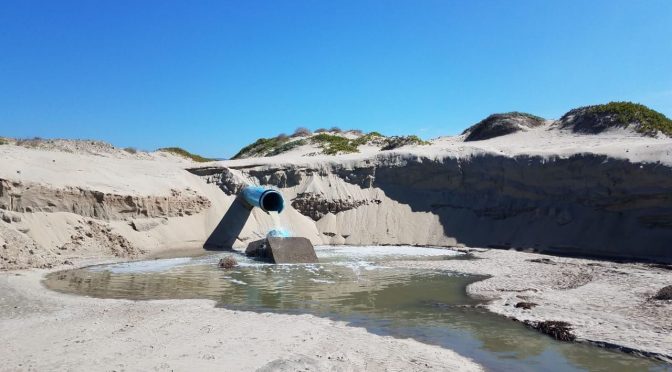 Baja California Norte: denuncian derrame de aguas residuales en Playa Pacífica (El Imparcial)