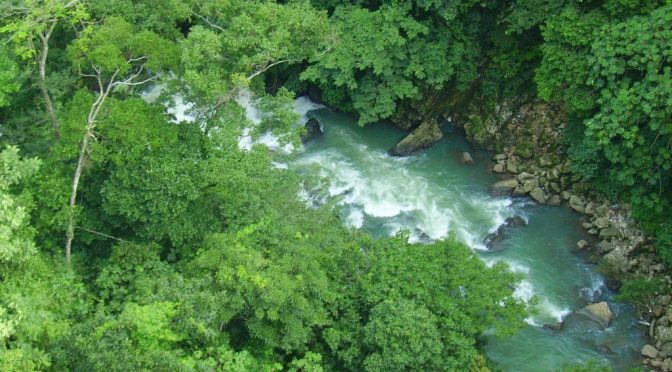 Veracuz: ‘Agoniza’ río Chiquihuite (El Mundo)