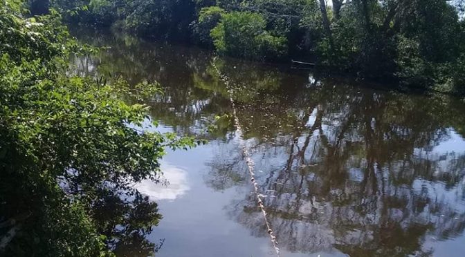 Veracruz: Industrias, depredadores de los ríos (El Heraldo)