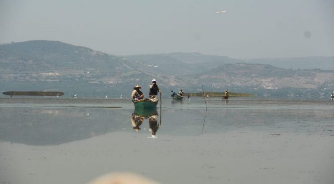 Michoacán: rescate del lago de Cuitzeo, un añejo tema político (Quadratín)
