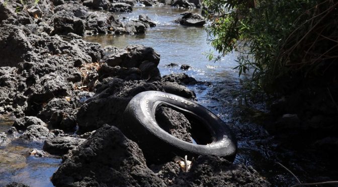 México: agua contaminada causa 780 mil muertes al año; especialista (Noticieros Televisa)
