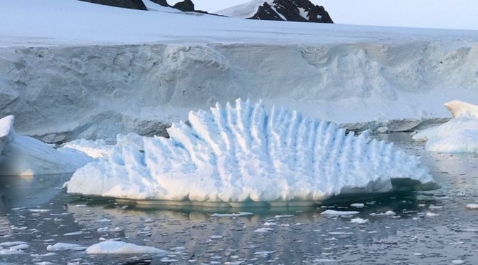 Nueva York: El descubrimiento que alarma a los científicos: agua caliente en un glaciar de la Antártida (Milenio)
