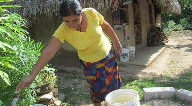 San Luis Potosí: falla en válvula deja sin agua a varias colonias (Pulso SLP)