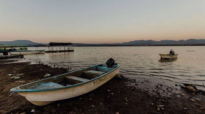 Querétaro: producción de pescado en La Estancia a la baja (El Sol de San Juan del Río)