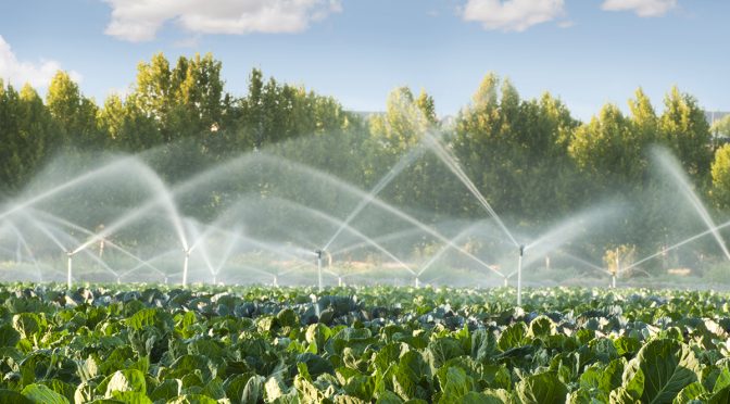Agua y agricultura