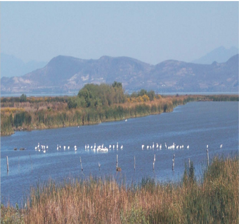 Plan de gestión integral de los recursos naturales de la Cuenca del Lago de Cuitzeo (PDF)