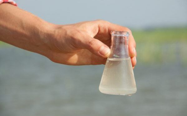 España: Microplásticos en las aguas residuales: expertos buscan soluciones (Contrainformación)