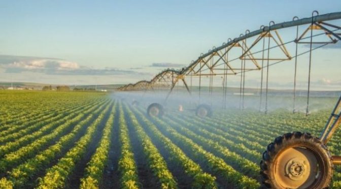 Chile: Impulsan uso eficiente del agua en el riego agrícola en zonas afectadas por sequía (Foro del Agua)
