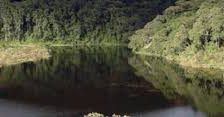México-Del impacto al legado: el agua como eje de resiliencia empresarial (El Financiero)