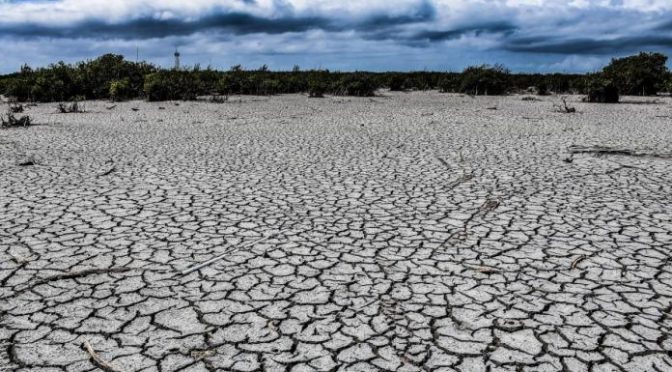 Quintana Roo: Apabulla sequía al sur del estado (Luces del Siglo)