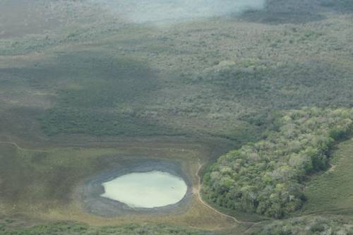 Campeche: Se secan 50% de cuerpos de agua en reserva de Calakmul (La Jornada)