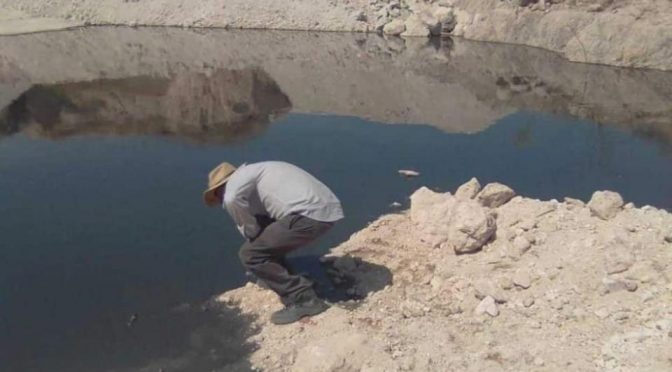 Guanajuato: Acusan a minera de contaminar pozos (La Jornada)