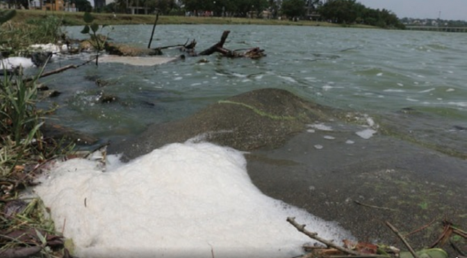 Pandemia aumentó descargas de aguas negras a lagunas y río en Tamaulipas (Milenio)
