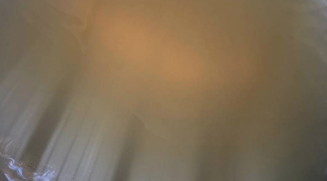 Tabasco: “No nos sirve para nada el agua, pero no nos queda de otra” (El Heraldo de Tabasco)