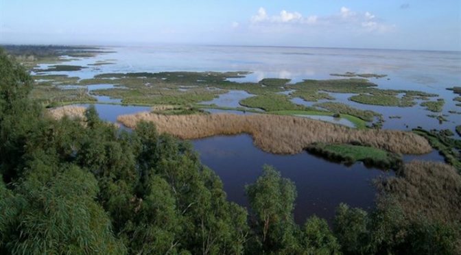 España: Robando el agua en Doñana (Ecoticias)