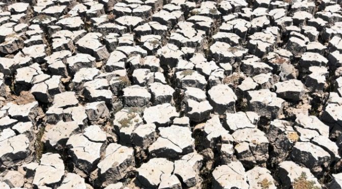 España: Combate la desertificación también fuera de sus fronteras (iAgua)