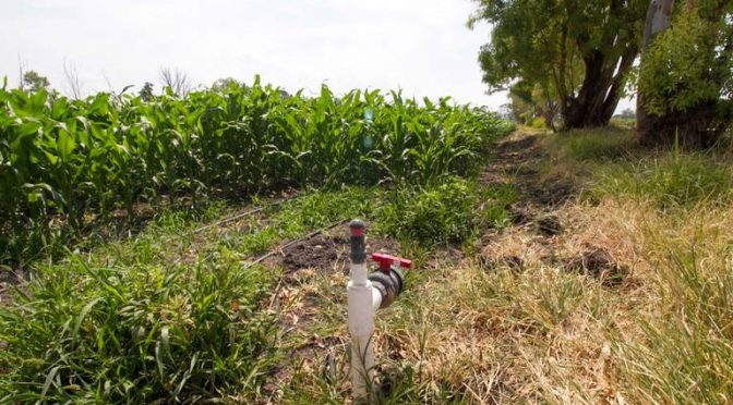 Querétaro: Disminuye extracción de agua en pozos (El Sol de San Juan del Río)