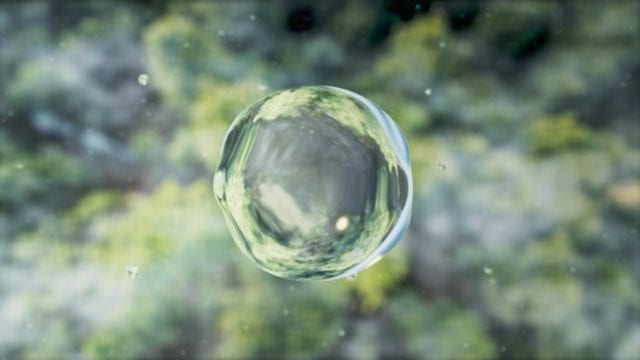 La gota de agua que busca proteger al bosque de Puebla (Forbes)