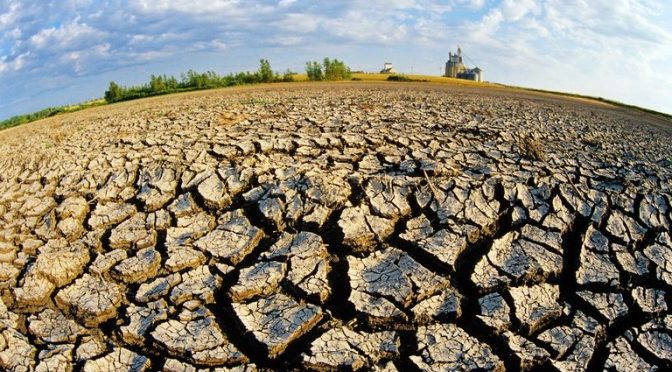17 de junio: Día Mundial de Lucha contra la Desertificación y la Sequía