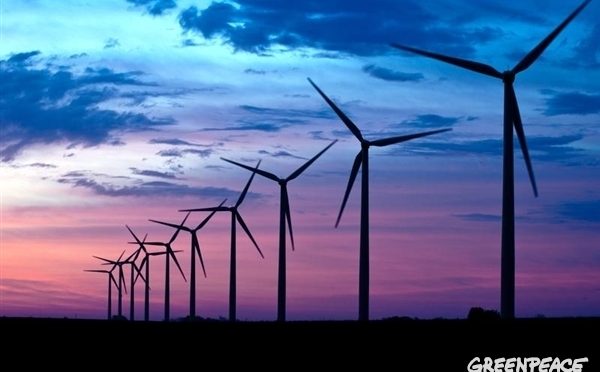 Conceden a Greenpeace suspensión en materia de energía renovable (La Jornada)