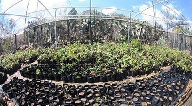 Sobresale Guanajuato por apoyar a consejos técnicos de agua (Milenio)