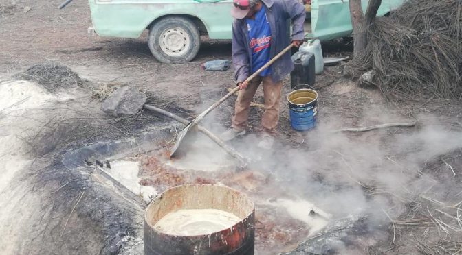 Coahuila: Ejidos Lucio Blanco y Estanque de León sobreviven con agua de lluvia (Milenio)