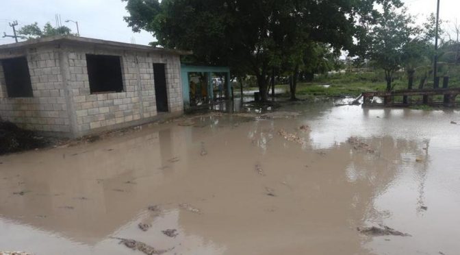 Veracruz: Por inundaciones en Agua Dulce, activan Plan Tajín (Milenio)
