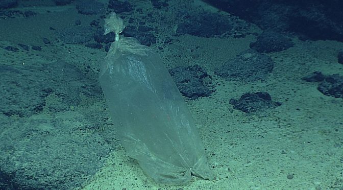 Compañía japonesa desarrolla bolsas de plástico que se descomponen en el agua de mar (Sputnik News)