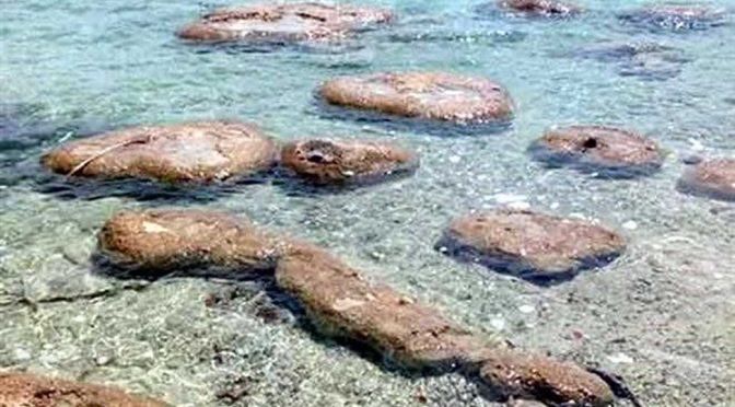 Quintana Roo: Contaminación cambia color del agua en Laguna de Bacalar (Diario)