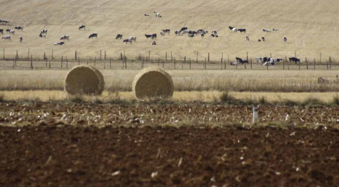 México implementa estrategia para pagar adeudo de agua con EU (Excelsior)